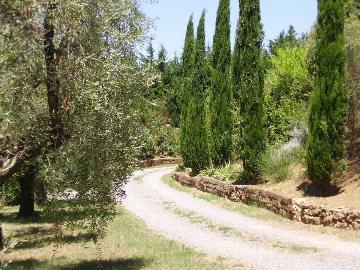Podere Belvedere Cecina Cecina  Kültér fotó