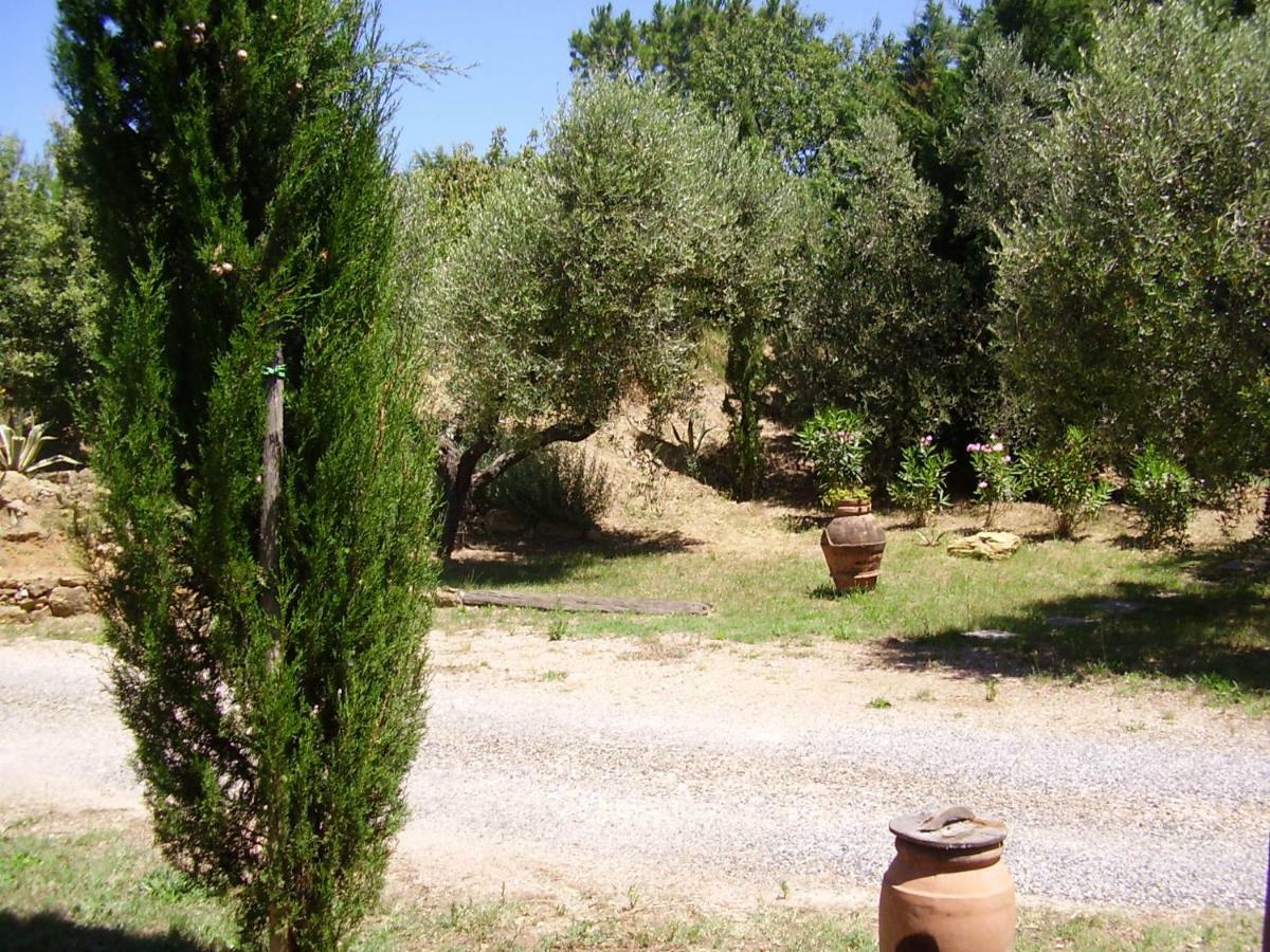 Podere Belvedere Cecina Cecina  Kültér fotó